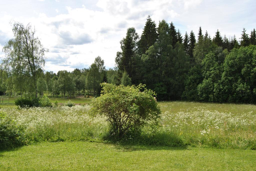 Вилла Orsastuguthyrning-Oljonsbyn Экстерьер фото