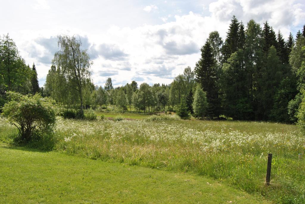 Вилла Orsastuguthyrning-Oljonsbyn Экстерьер фото